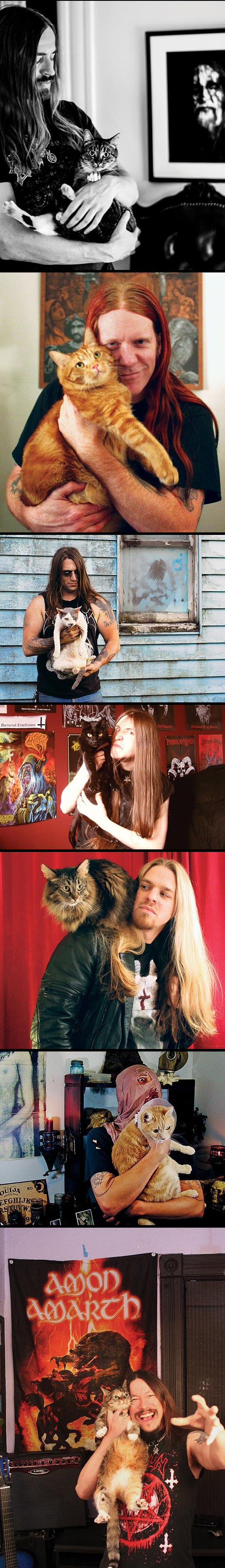 funny-Metal-cats-musician-black-rock-heavy
