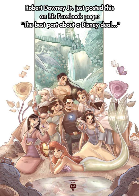 funny-Robert-Downey-Jr-Disney-princess
