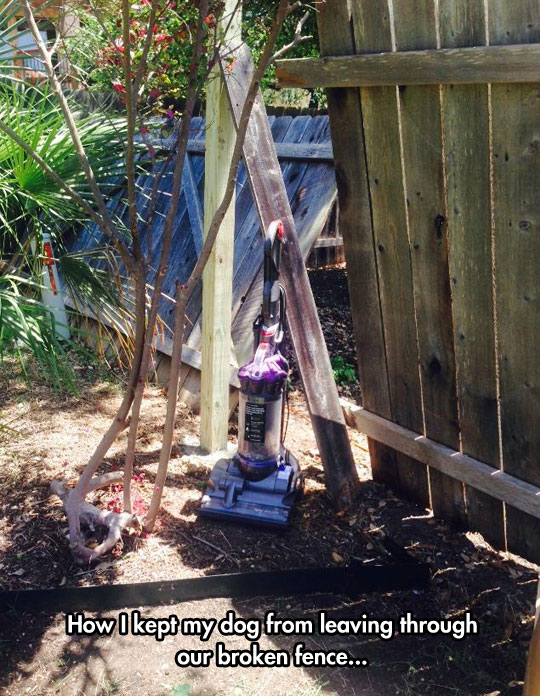 funny-backyard-vacuum-fence-hole