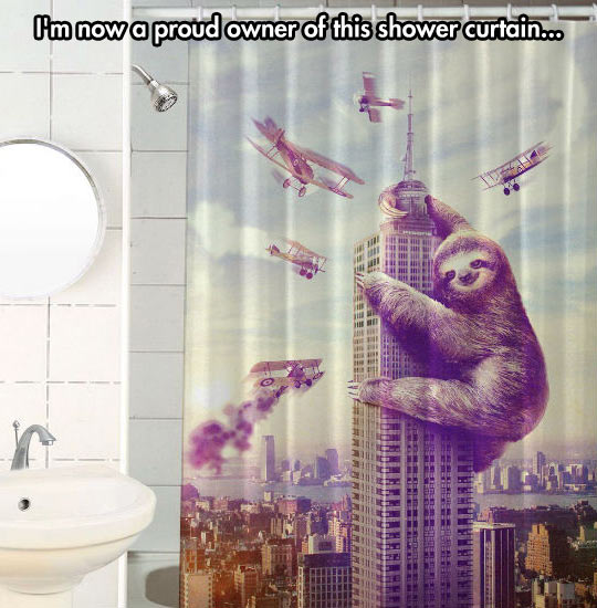 King Sloth Curtain
