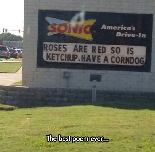 Sonic’s Shakespearean Poem