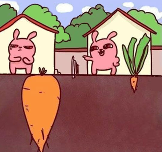 funny-cartoon-rabbit-size-ground