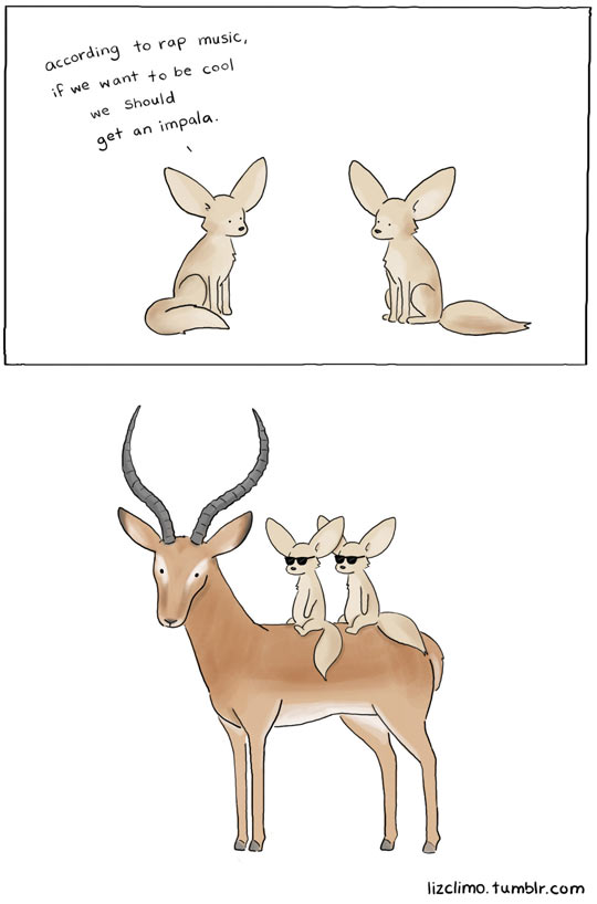 funny-comic-fennec-impala-rap