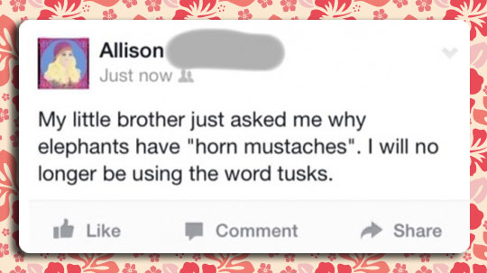 funny-comment-horn-elephants-tusks