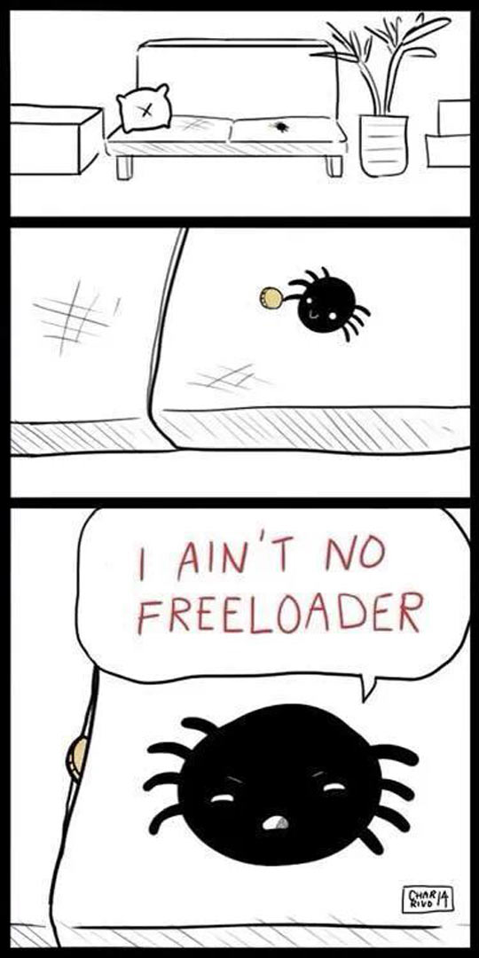 funny-couch-coin-spider-freeloader-comic