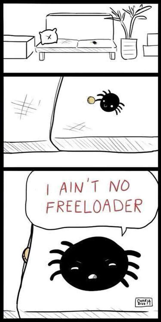 She’s a Proud, Independent Spider
