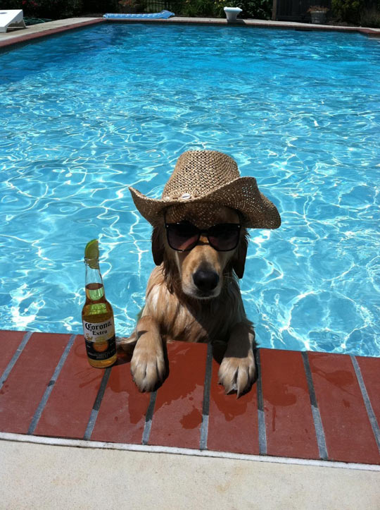 Hold My Beer, It’s Going To Get Ruff