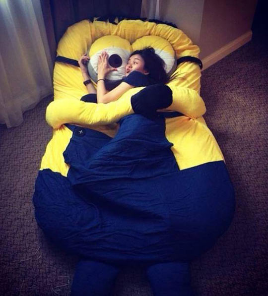 I Need This Minion Bed