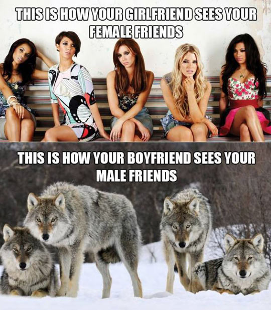 funny-girls-beautiful-girlfriend-sees-wolves
