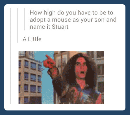 Adopting a mouse…