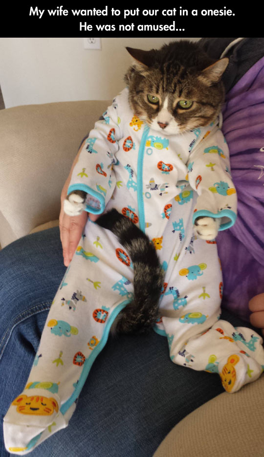 funny-onesie-cat-cute-pajamas