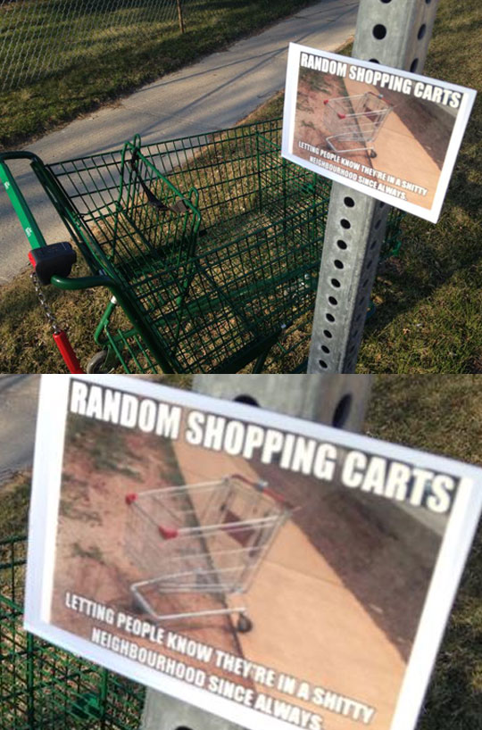 Where Random Shopping Carts Come To Die