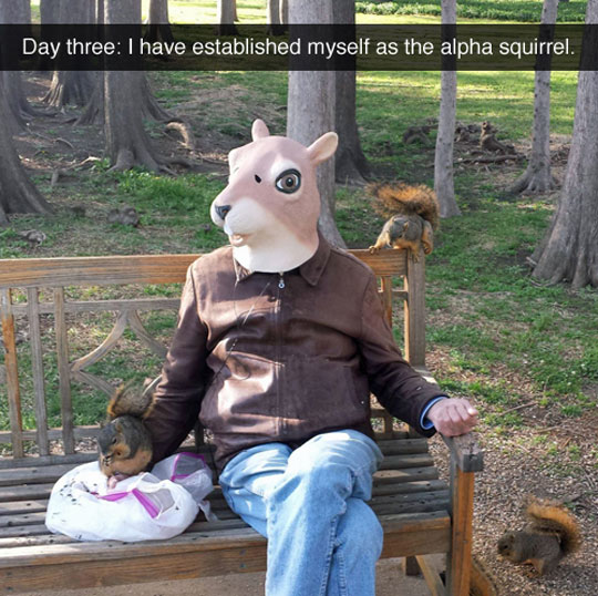 funny-squirrel-mask-park-costume