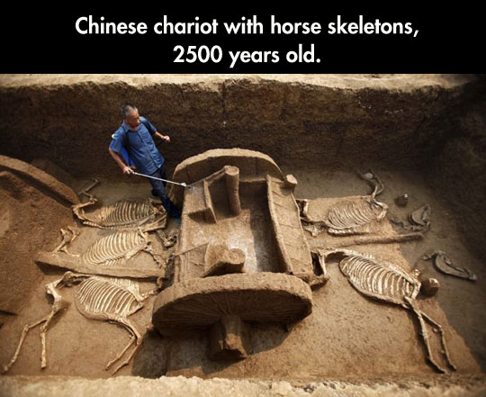 Amazing Findings In China