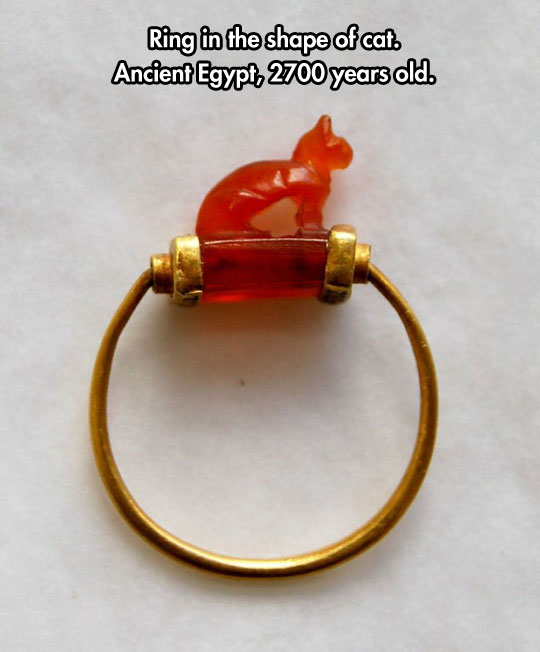 cool-Egyptian-ring-old-cat-shape