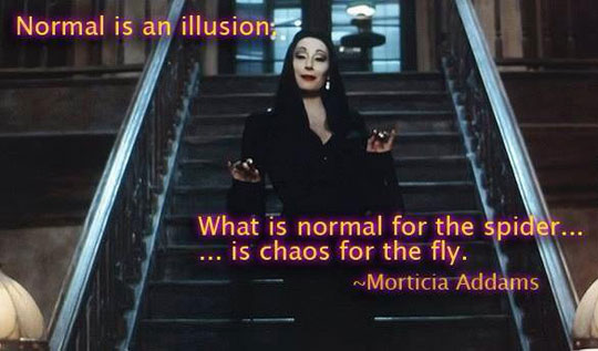 cool-Morticia-Addams-quote-normal