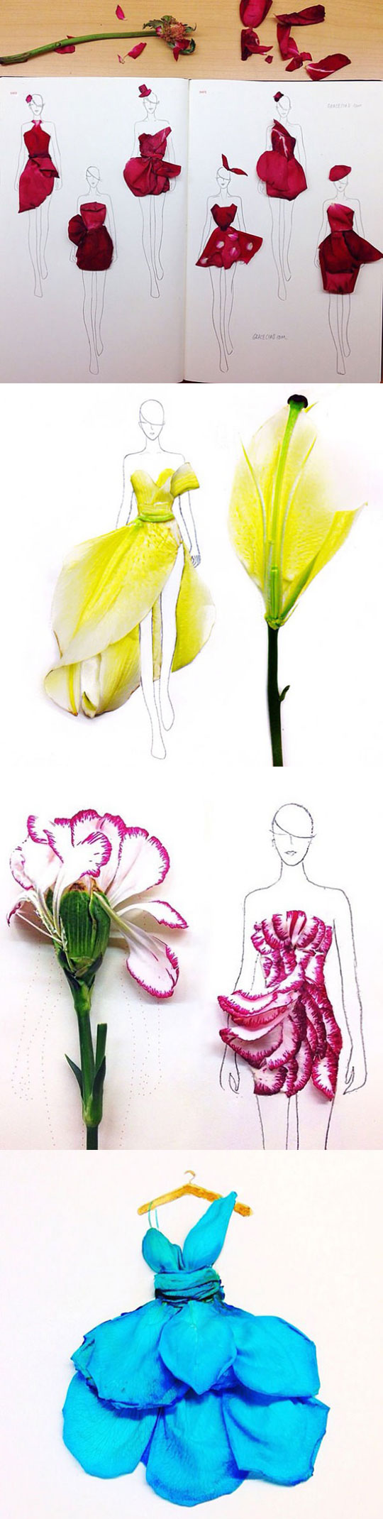 Fashion Illustrations With Real Flower Petals As Clothing