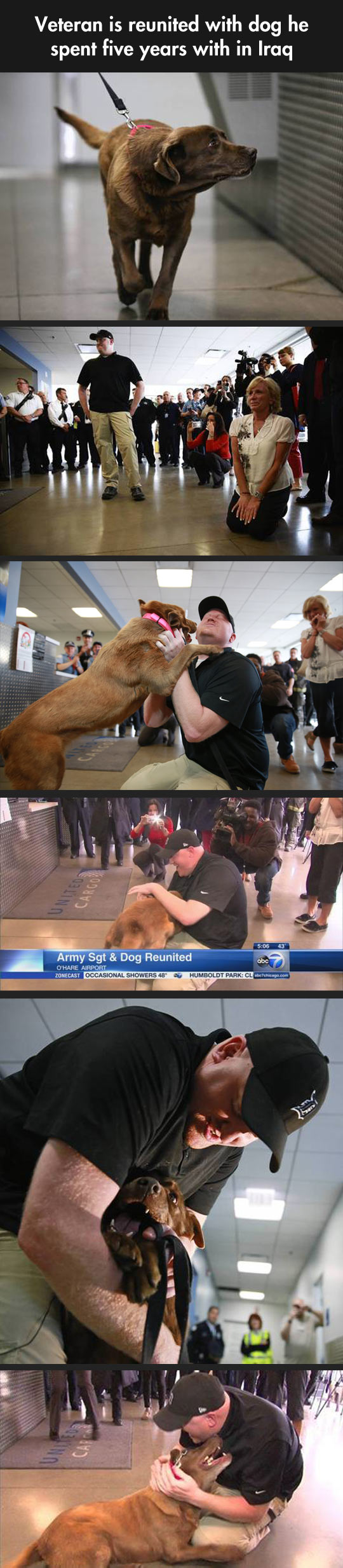 Dogs Never Forget The People They Love