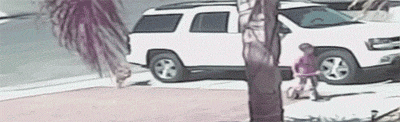 cool-gif-kid-cat-hero