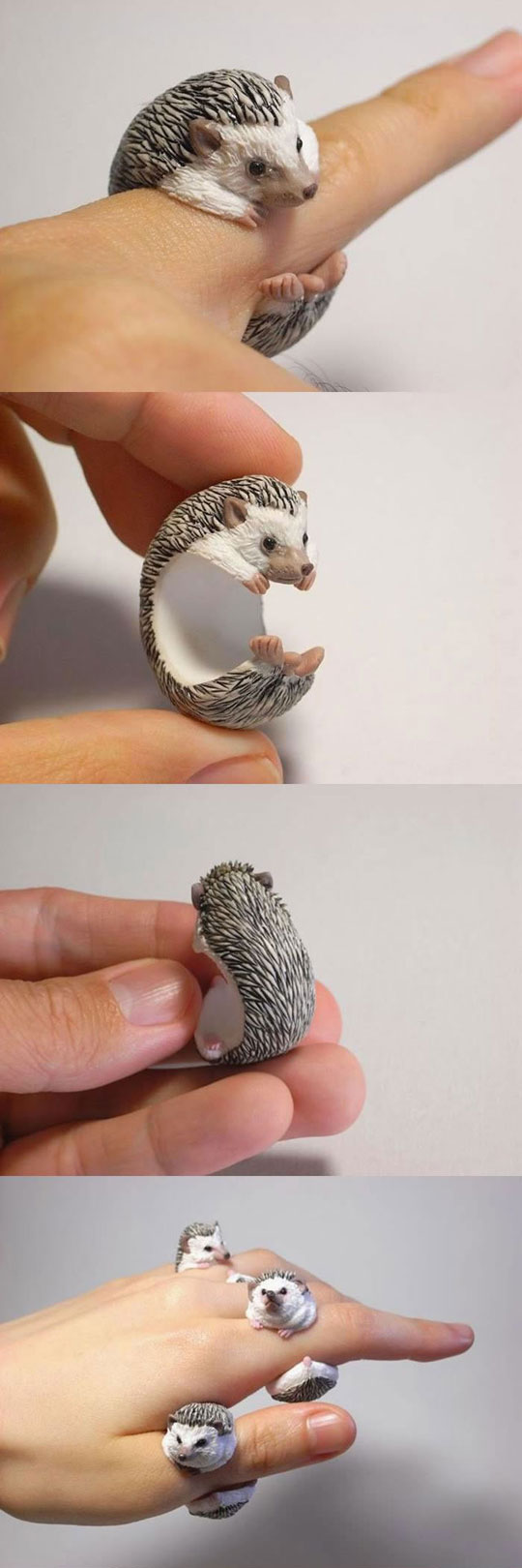 cool-realistic-animal-rings-eagle
