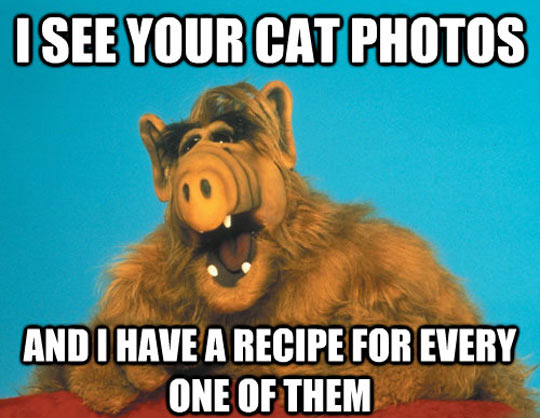 funny-Alf-cat-photos-recipe-Internet