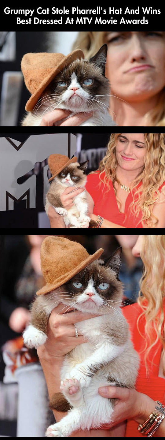 funny-Grumpy-Cat-hat-MTV-awards