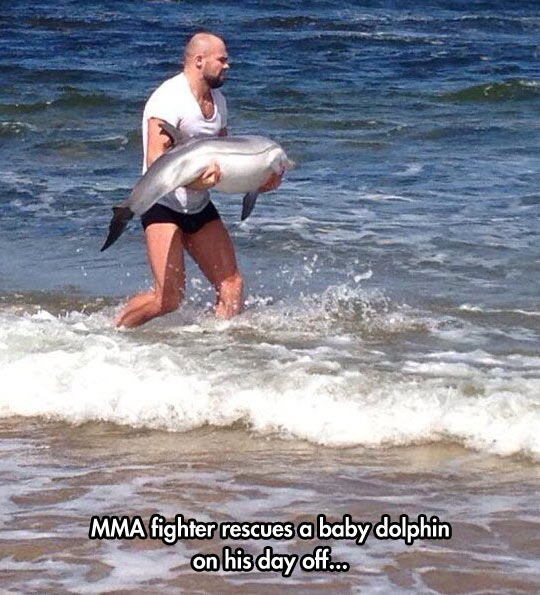 funny-MMA-fighter-sea-water-dolphin