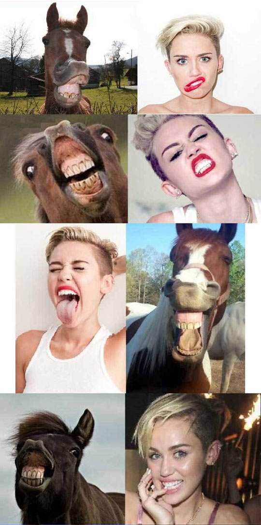 funny-Miley-Cyrus-horse-face-tongue