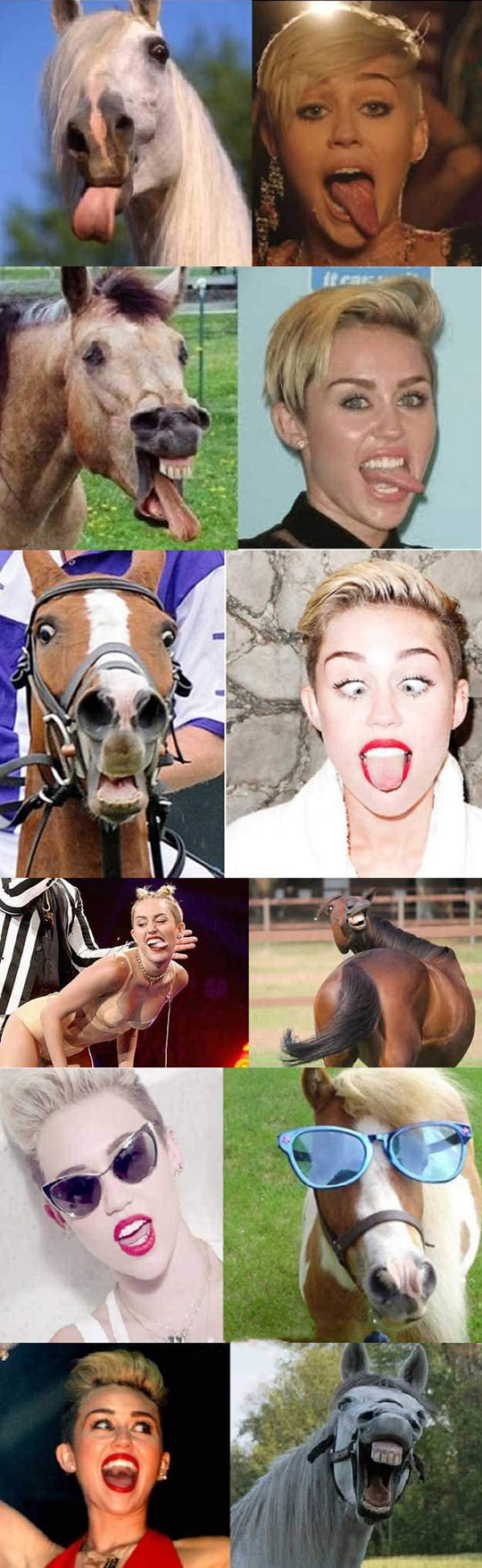 funny-Miley-Cyrus-horse-face-weird