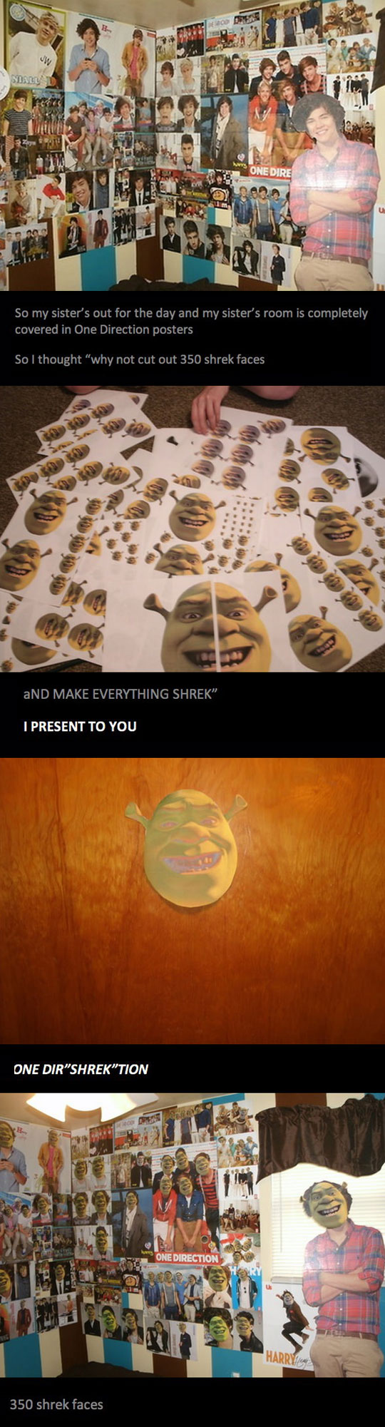 Making Everything Shrek