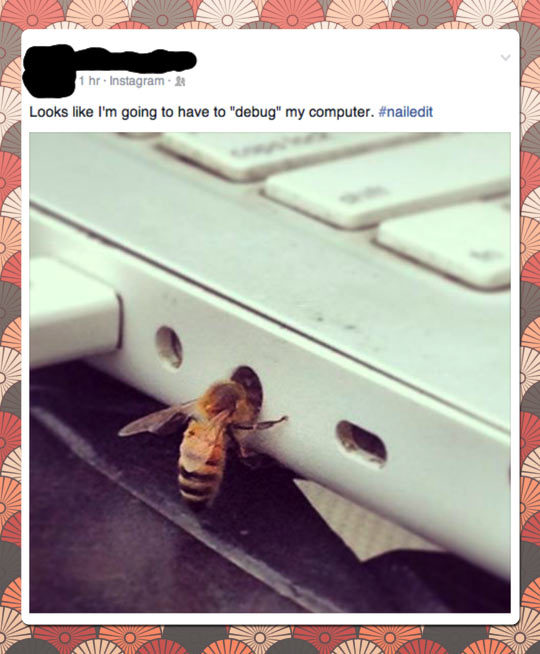 funny-bee-computer-bug-hole