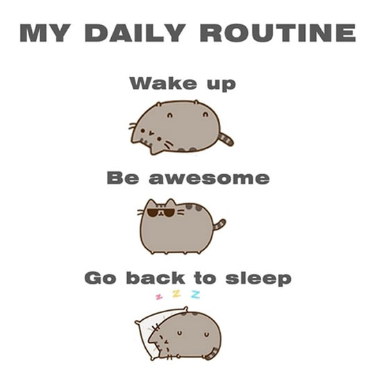 Ladies And Gentlemen, My Daily Routine