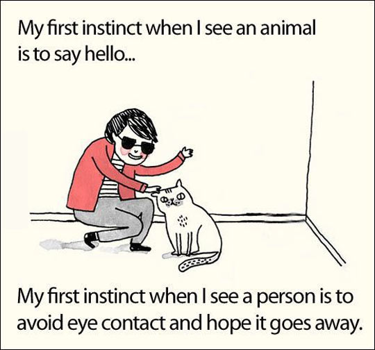 My First Instinct When I See An Animal