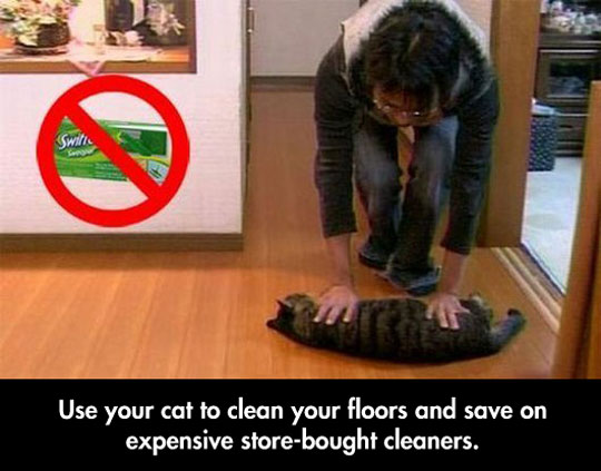 Tired Of Wasting All Your Money In Cleaning Products?