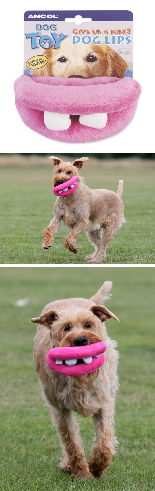 funny-dog-toy-mouth-lips