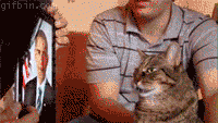 funny-gif-Obama-Hitler-iPad-cat