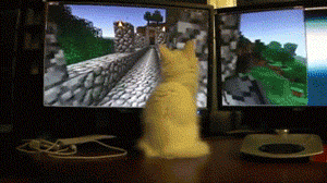 funny-gif-cat-watching-game-first-person