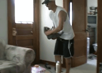 funny-gif-raccoon-couch-throw