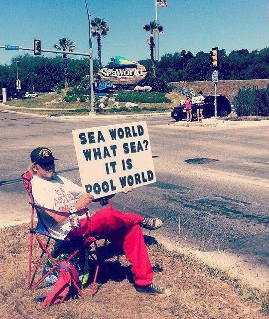 funny-guy-sit-beside-road-sign-Sea-World