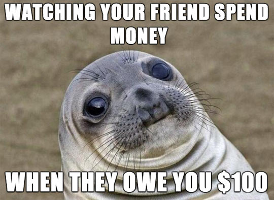 funny-seal-mouth-face-money