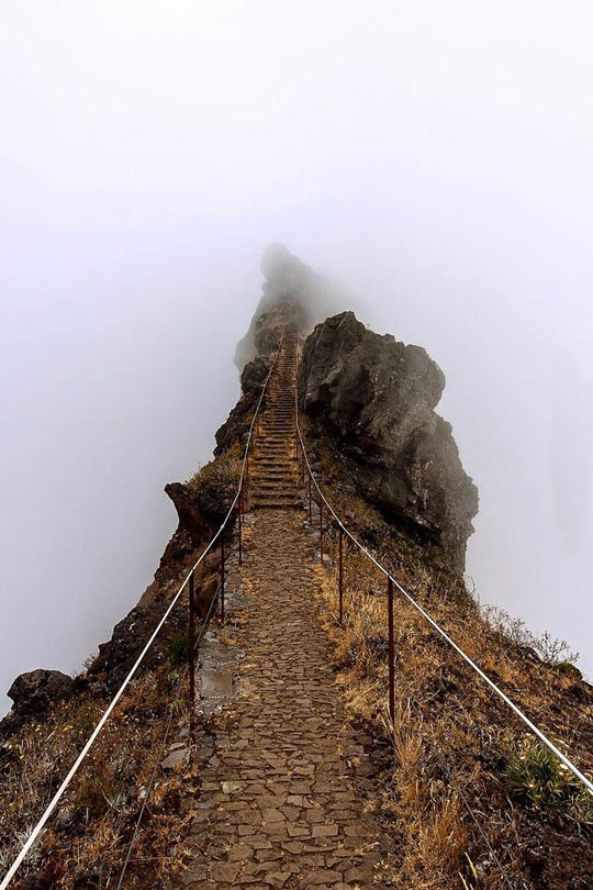 funny-stairs-mountain-fog-walk