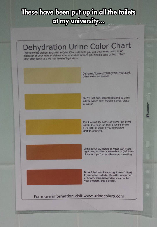 Dehydration Levels For Your Consideration