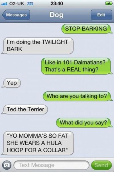 If Dogs Could Text 11 Pics 