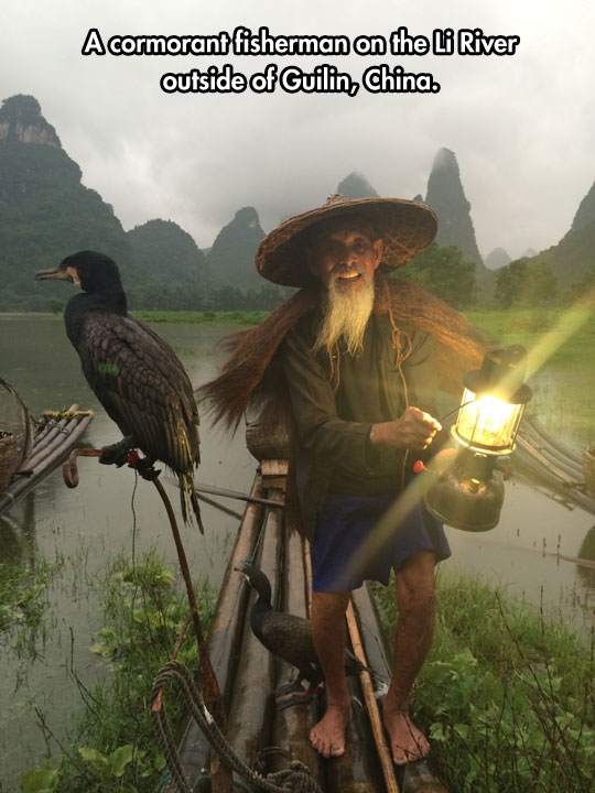 cool-fisherman-China-river-lamp-bird