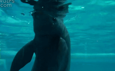 cool-gif-whale-pool-air-blow-trick