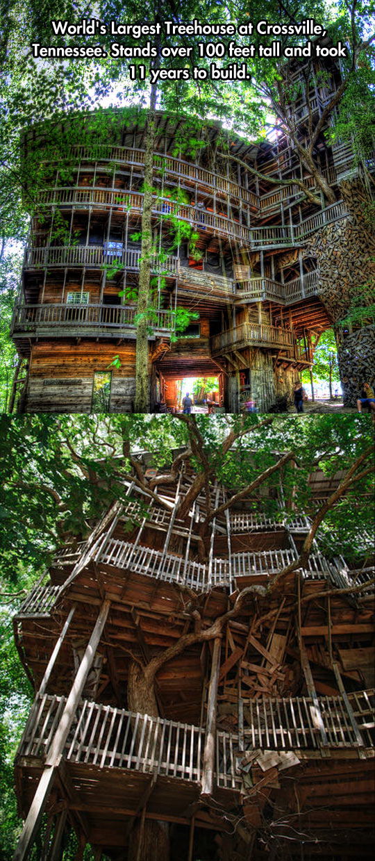 cool-largest-tree-house-Tennessee