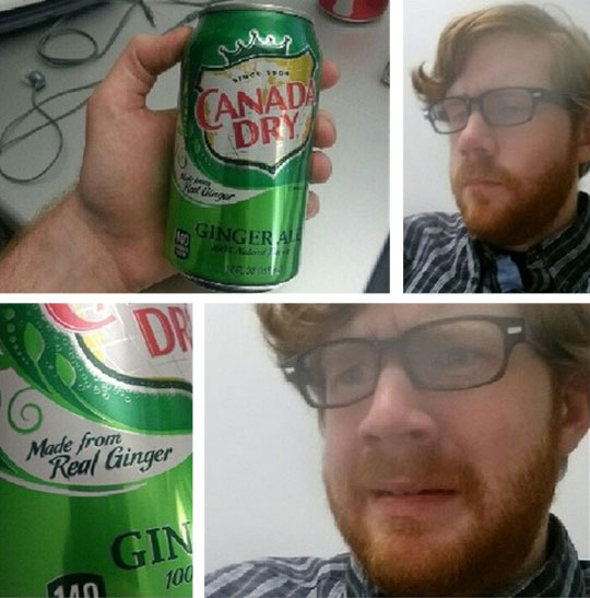 funny-Canada-Dry-ginger-scared