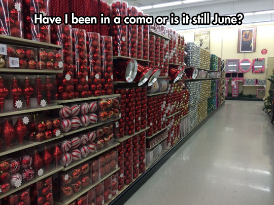 funny-Christmas-aisle-store-summer