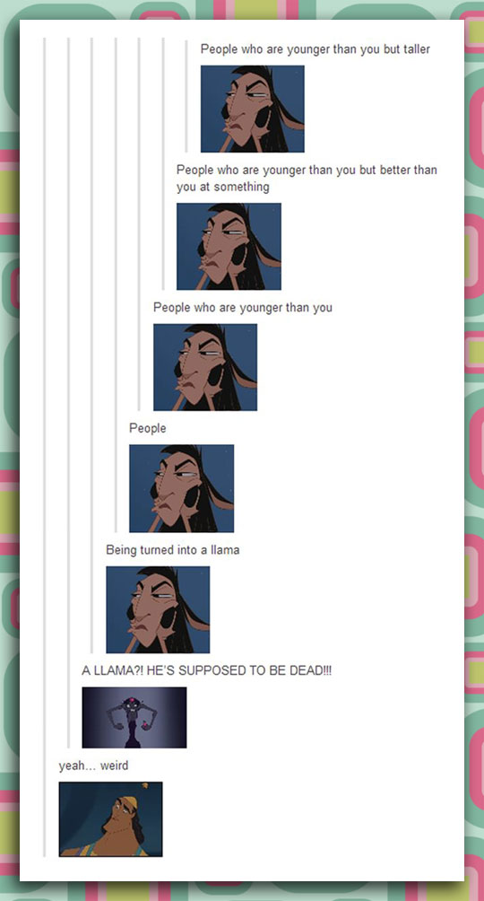 funny-Llama-comment-younger-people