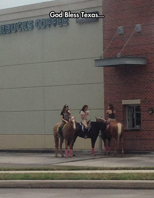 Things You Only See In Texas